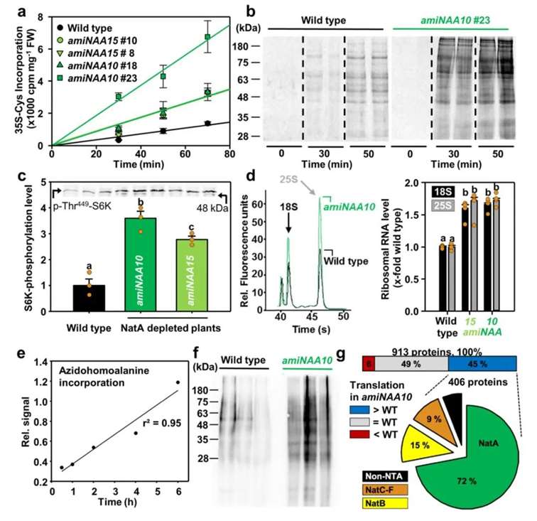 Advancements in Protein Methylation Research